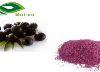 What to Look for When Choosing Nutraceutical Ingredients for Your Products