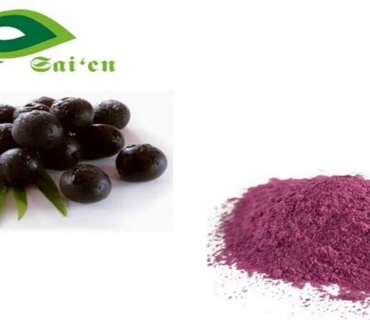 What to Look for When Choosing Nutraceutical Ingredients for Your Products