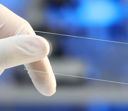 How to Treat Microscope Slides Like a Professional: Essential Tips